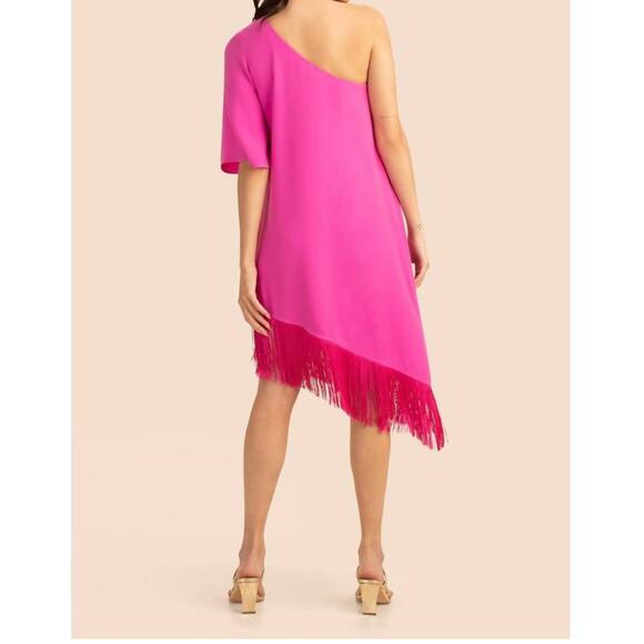 Trina Turk Gull Dress One Shoulder Mini Fringe Pink Snap Dragon Size Large - Picture 4 of 11